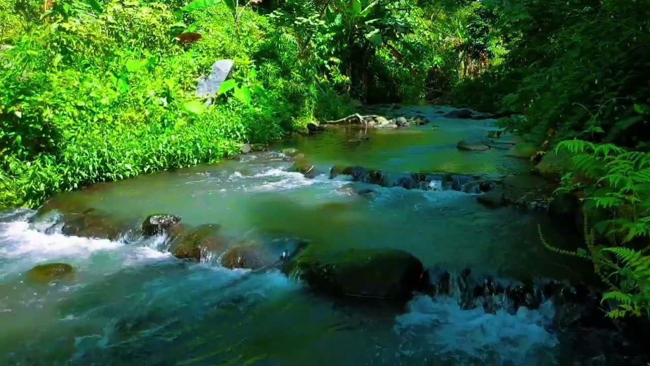Sleep Instantly with River Sounds | 4 Hours Nature ASMR for Insomnia & Anxiety Relief