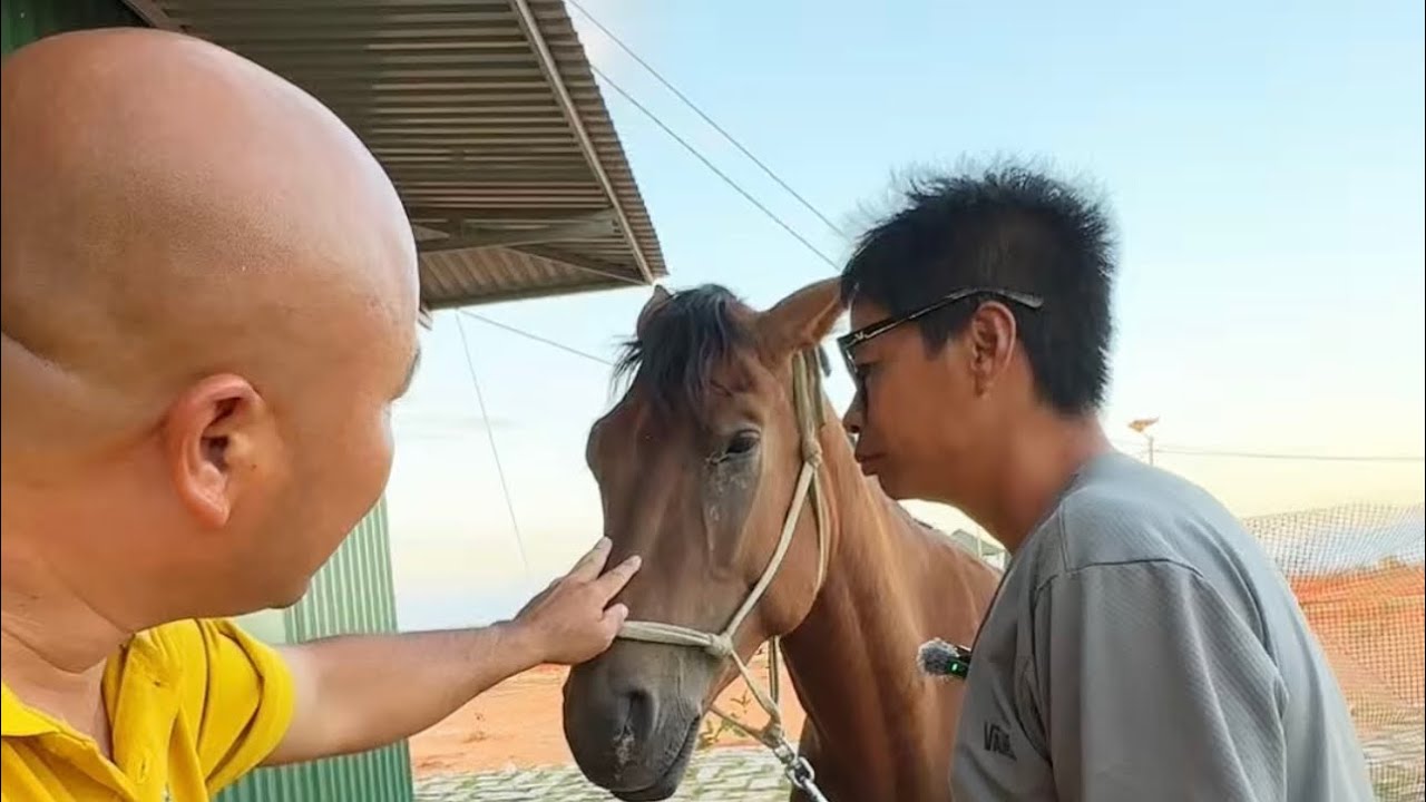 Thăm Anh Mến Và Sự Xuất Hiện Bất Ngờ Ở Farm Cú Đấm Thép TV 