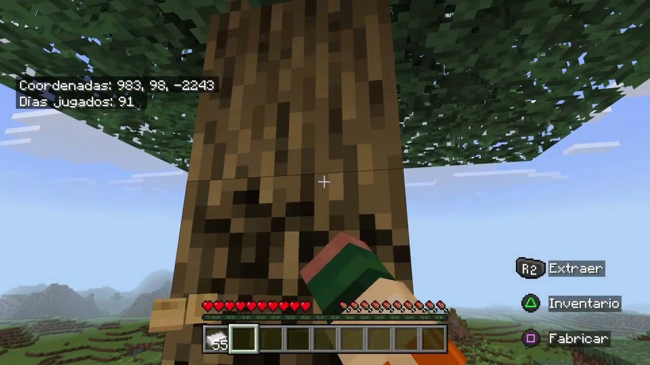 Minecraft_20260205183021