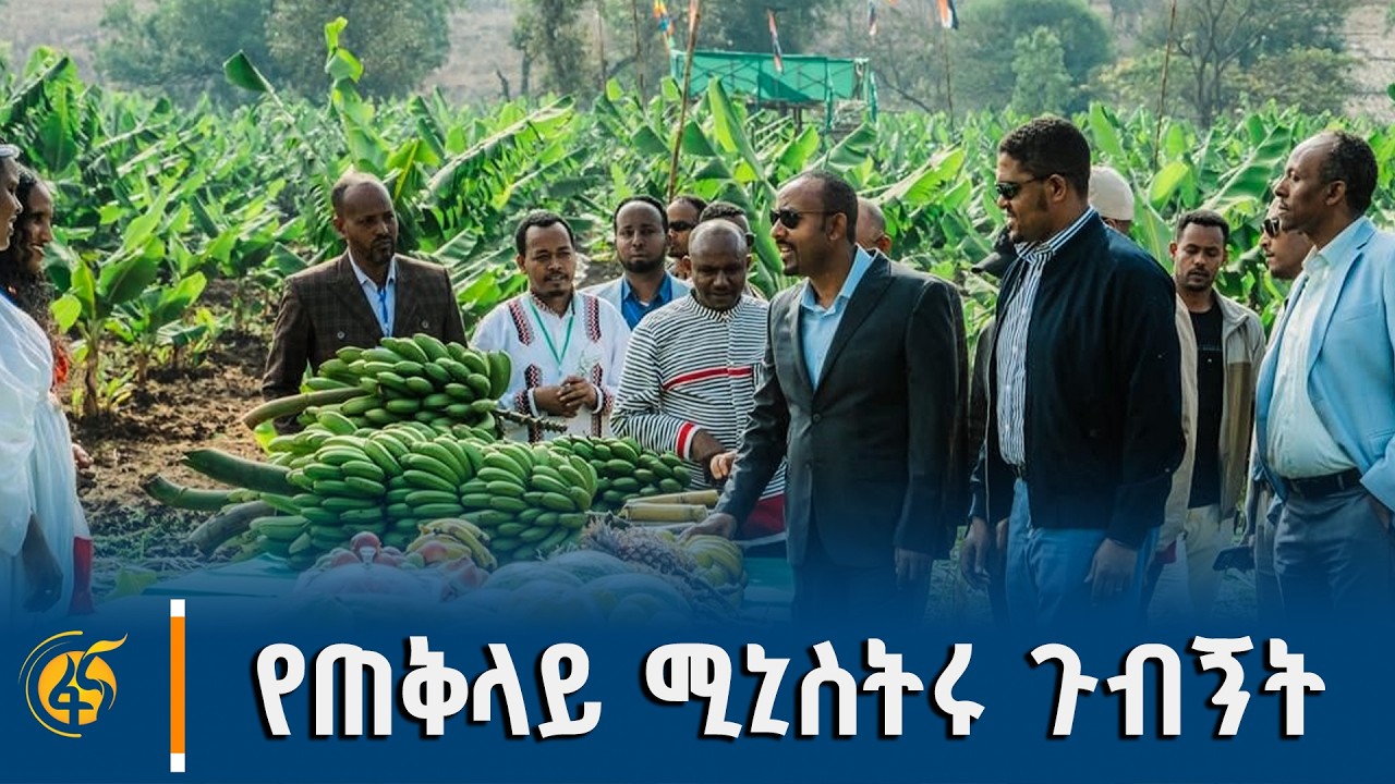 የቄለም ወለጋ ዞን ሃዋ ገላን ወረዳ በሌማት ትሩፋት መርሃ-ግብር የለማ የሙዝ እርሻ ጉብኝት