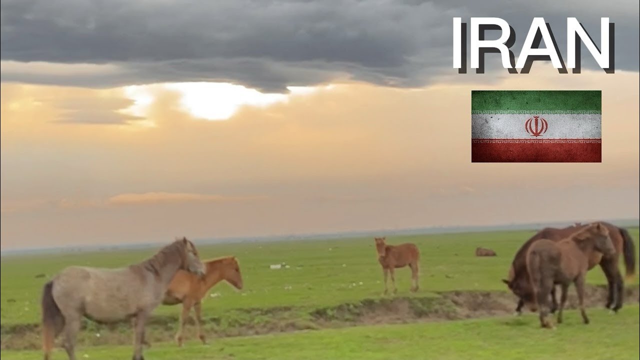 paradise of IRAN | IRAN NOW2024 | REAL IRAN |the pristine nature of IRAN | green IRAN
