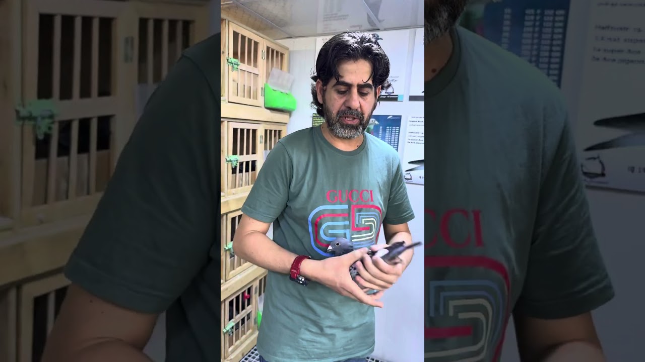 اقتناء مميز للمنتج البطل سعد التميمي