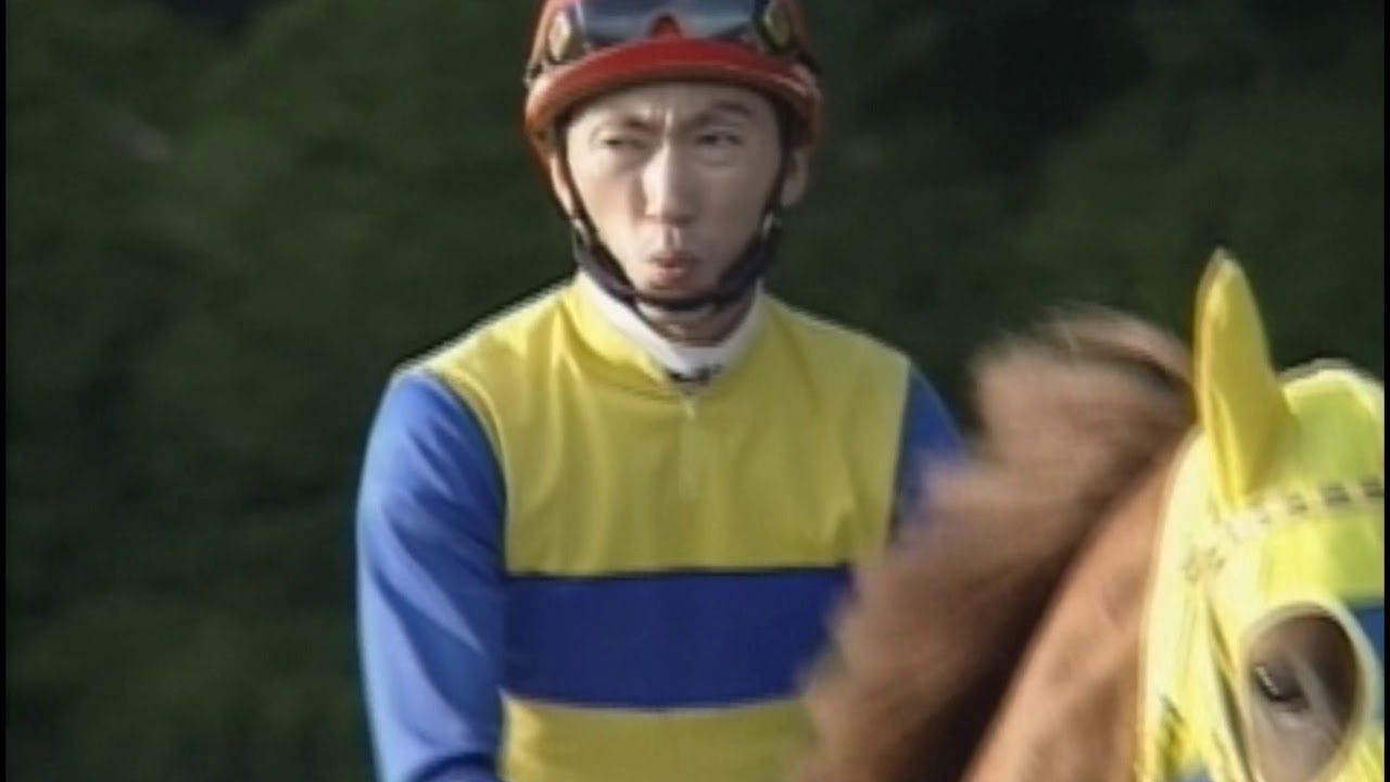 20世紀の名馬　72位　エアジハード