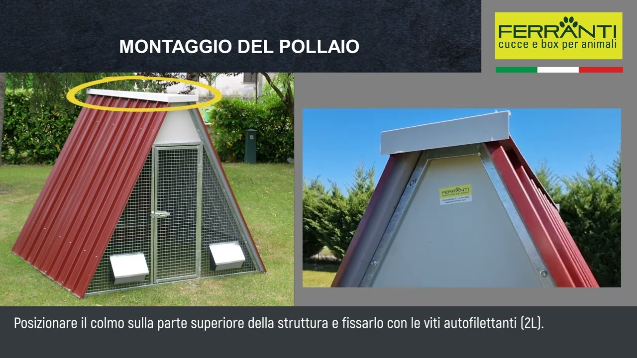 Pollaio coibentato per galline o polli VIDEO TUTORIAL - Ferranti