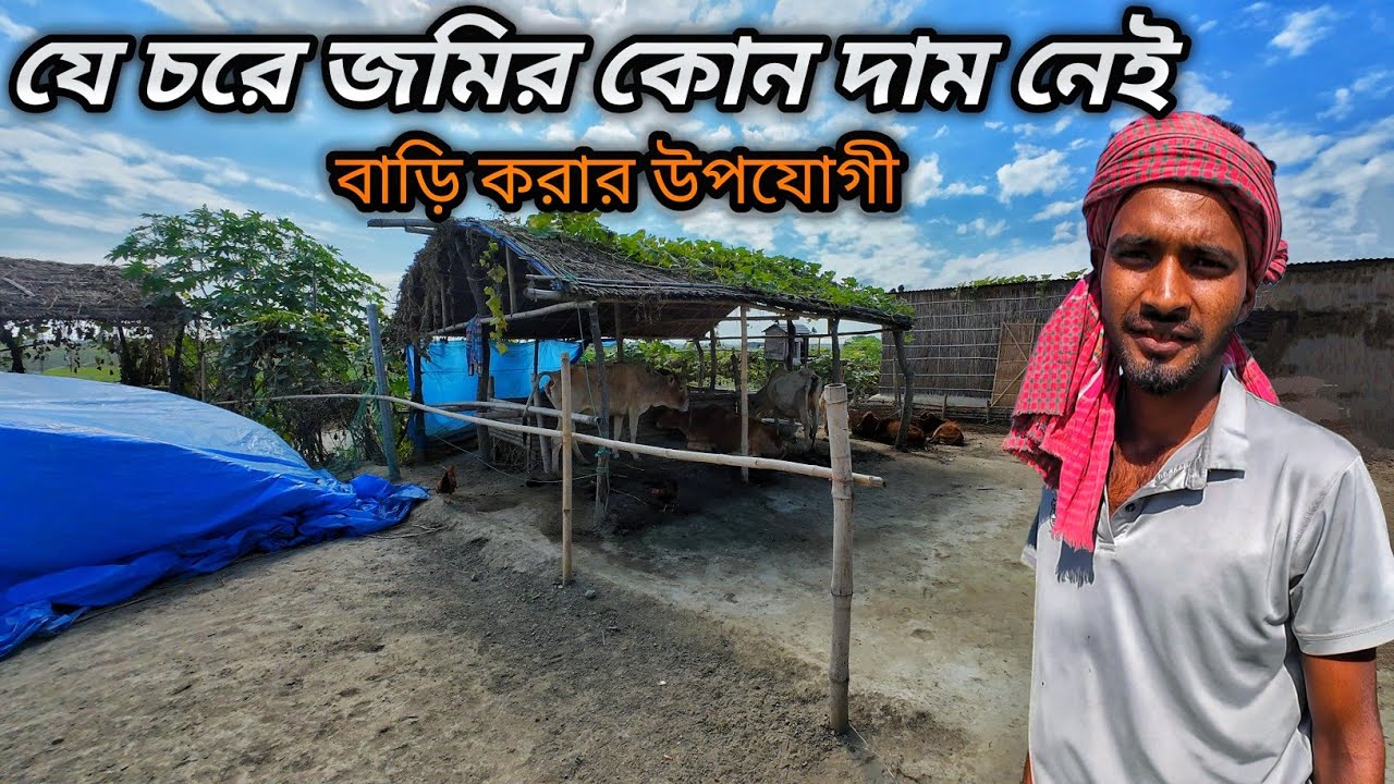 যে চরে জমির কোন দাম নেই | ছবির মত সুন্দর গ্রামে জমির মূল্য নেই | Grammo Jibon