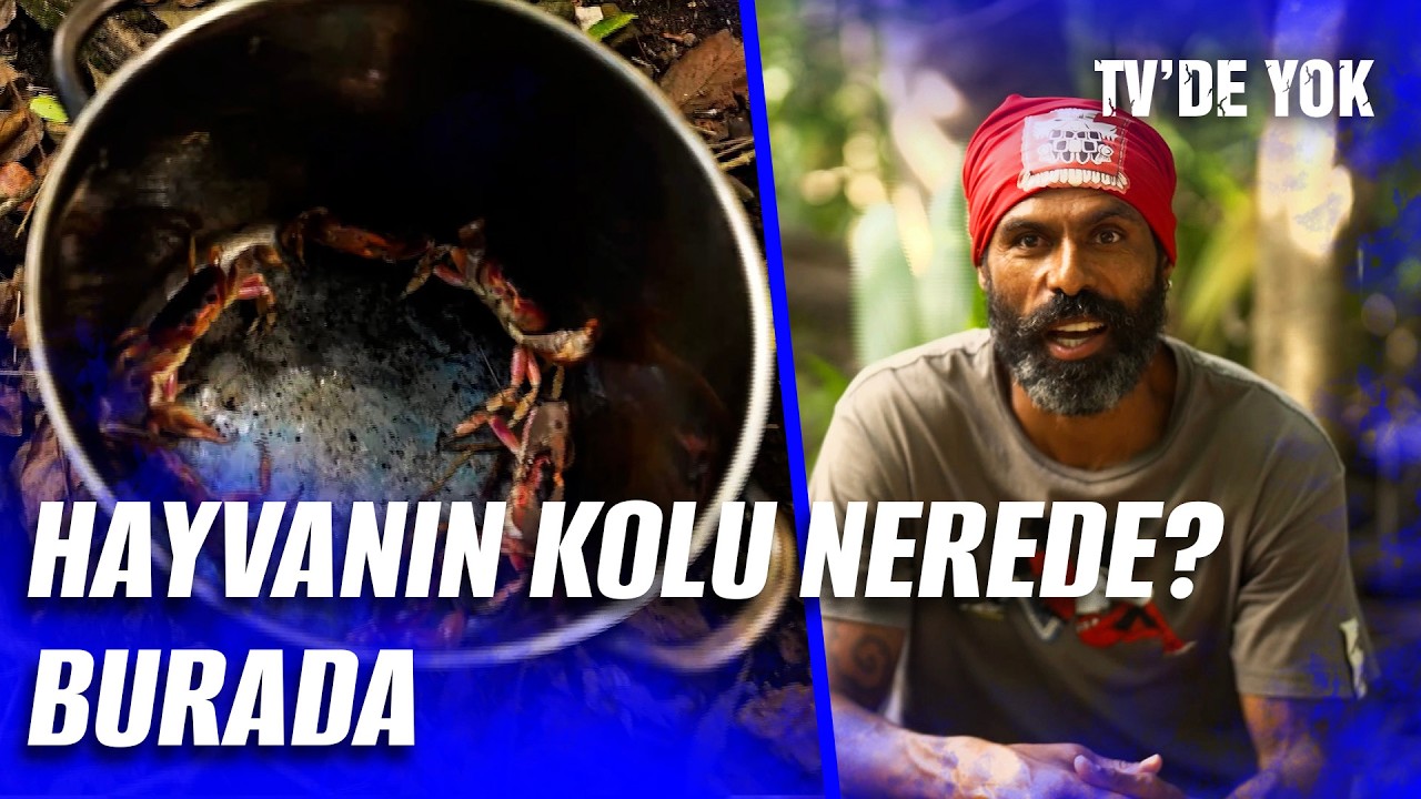 Ünlüler Adasında Yengeç Ziyafeti! Mert Nobre Yakaladı | Survivor 2026 10. Hafta 2. Bölüm