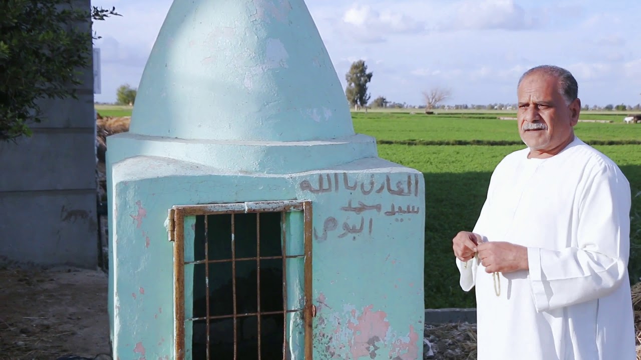 سيدى محمد البوهى  الذى لم تستطع الكراكات إزالته ببسنتواى البحيرة