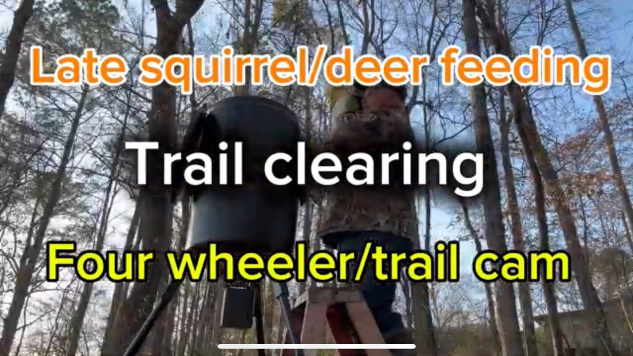 Late squirrel/deer feeding  four wheeler / trail cam photos.#corn#trap#deer#outdoors#