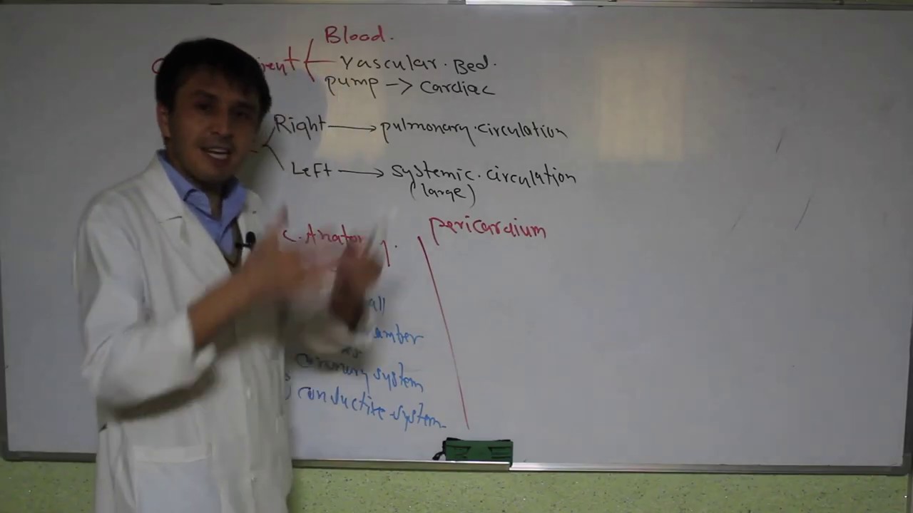 Cardiac Introduction/ part 1 / معرفی قلب
