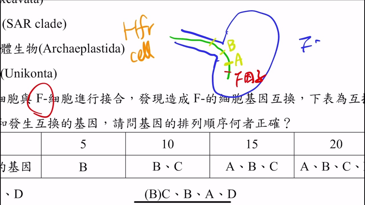 普生測驗（16）難題解析