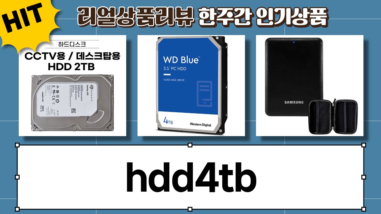 비쎌대여? HDD 4TB 외장하드/CCTV용 하드 비교 (씨게이트, WD, 삼성)