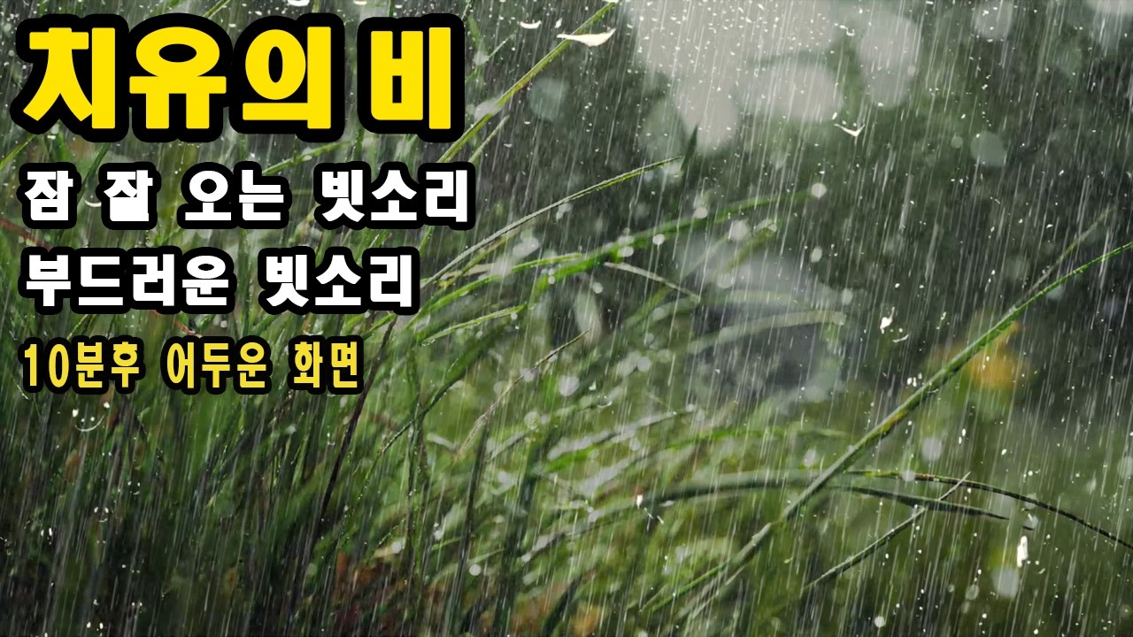 듣자마자 아침까지 푹 자는 자연의 빗소리 - 이명치료효과 - 10분후 화면꺼짐