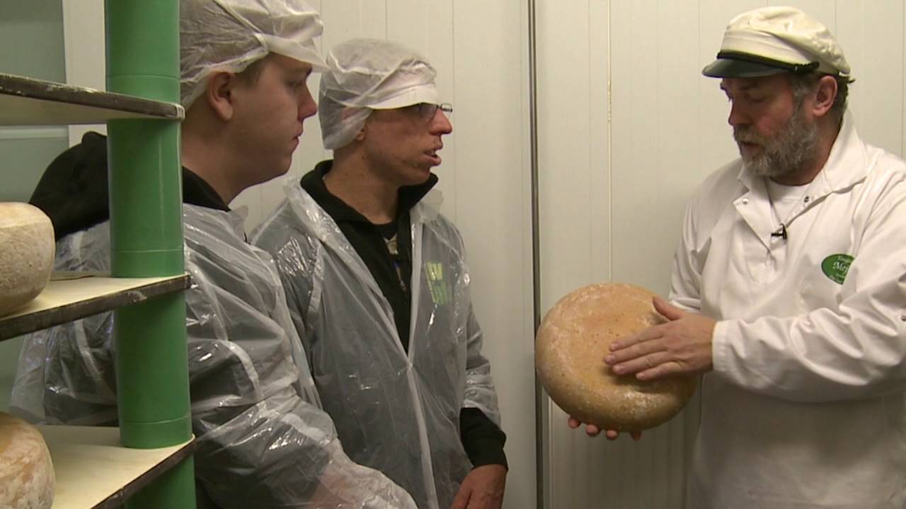 Når mælk bliver til ost