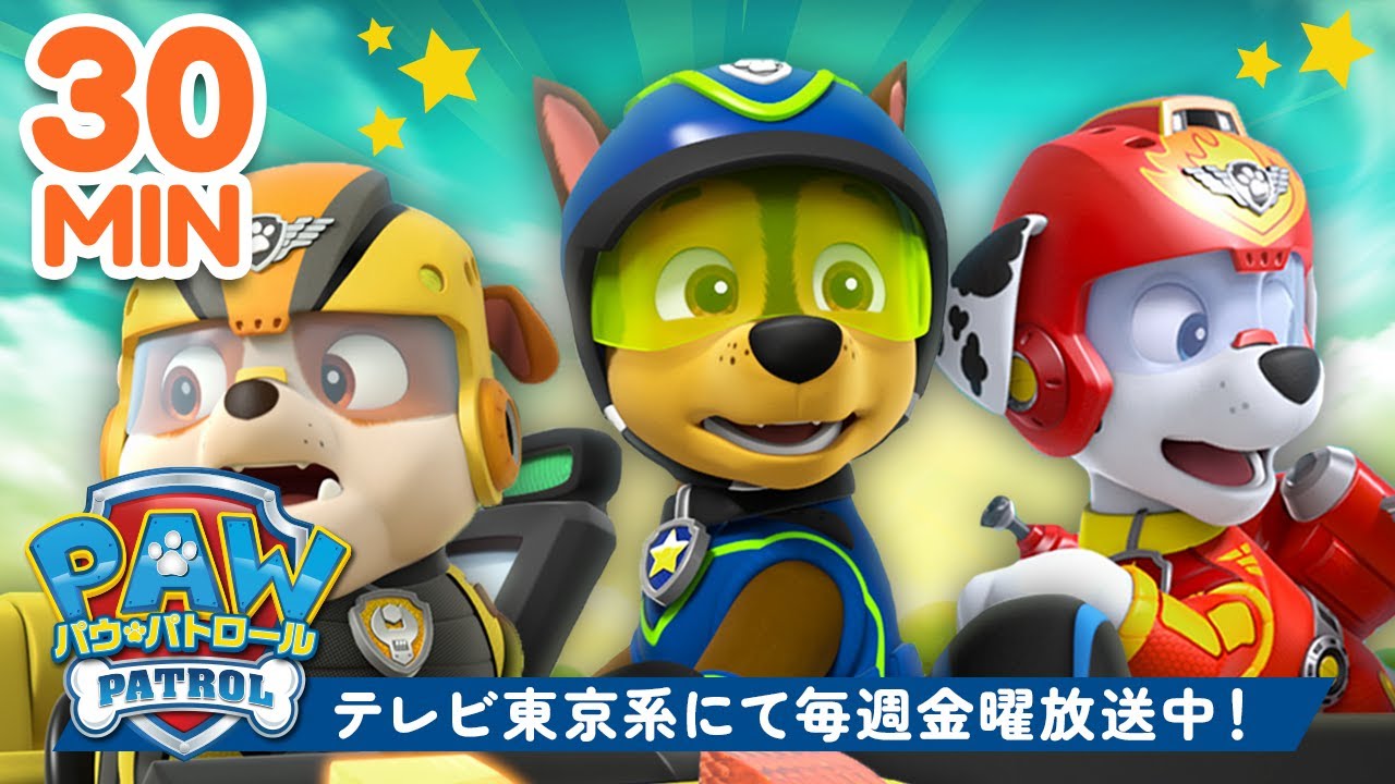 パウ・パトロール | パウ・パトロールのナイス・チームワーク30分🐶 | テレビ東京系にて放送中