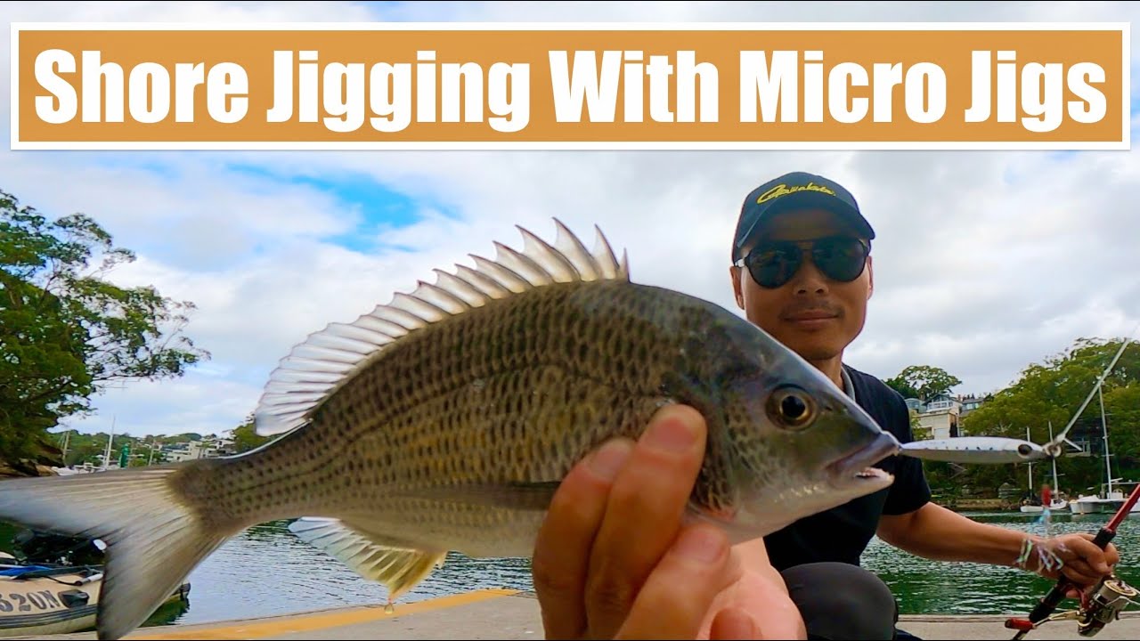 Don't Use This Jigs or Both You and Fish have TROUBLE | Shore Jigging