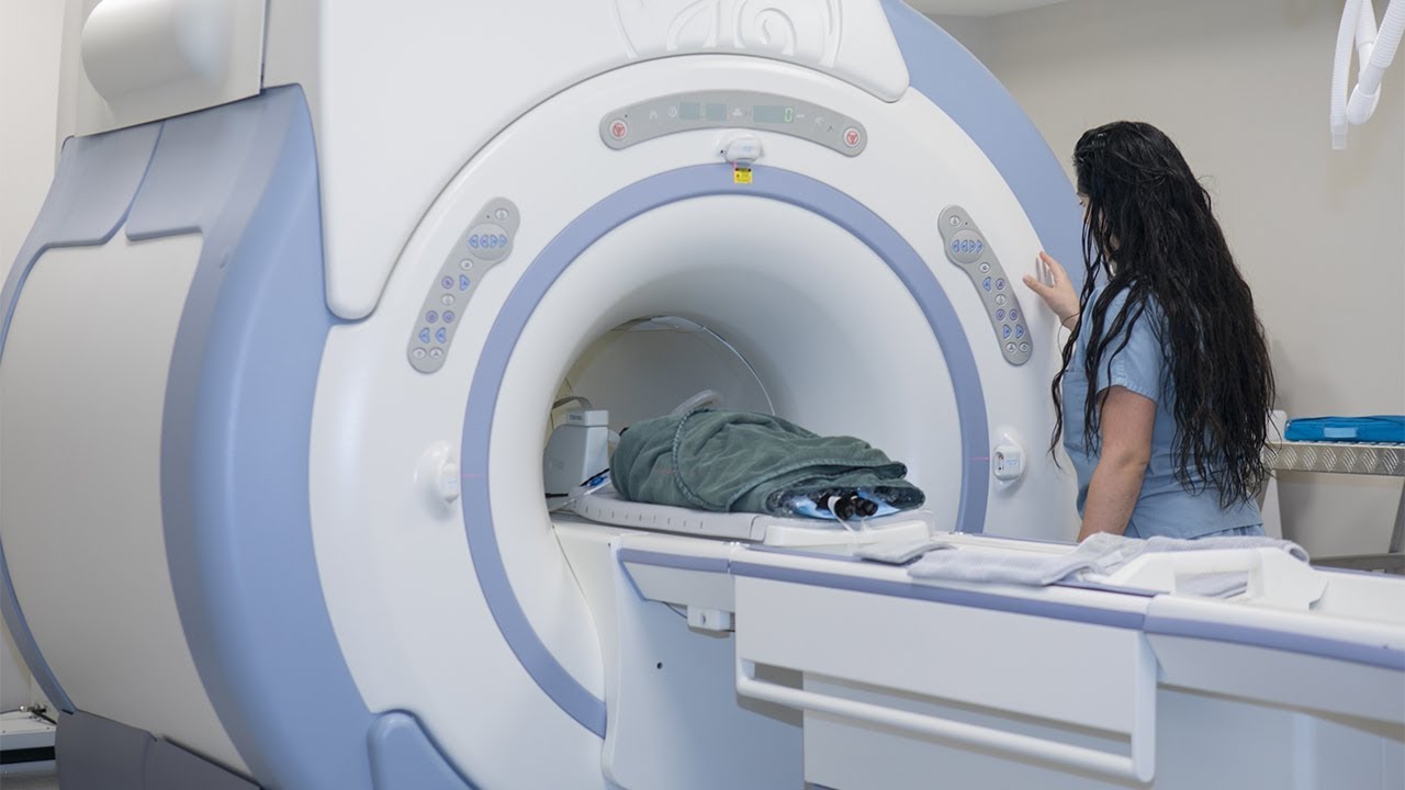 Advanced Imaging at Southeast Veterinary Neurology