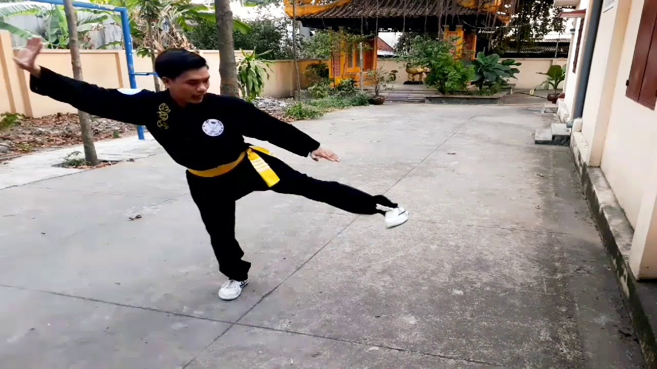 Lão Hổ Thượng Sơn . Bài quy định của Liên Đoàn Võ Cổ Truyền Việt Nam .