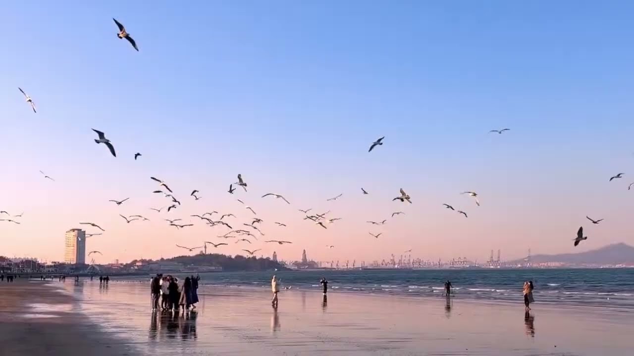 Peaceful Nature Scenes and Relaxing Music for Stress Relief and Deep Sleep