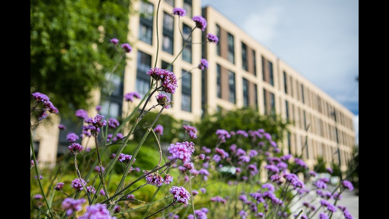 Case Study: Greenford Quay (Subtitled)