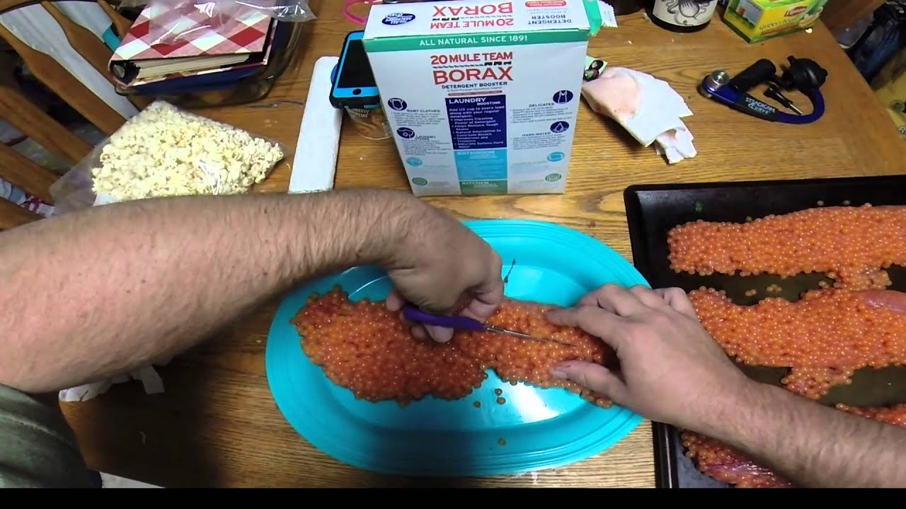 Borax Salmon Egg Curing video