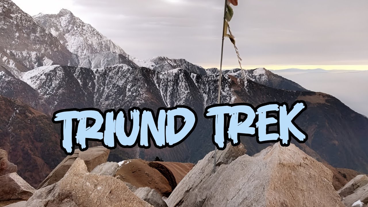 Triund Adventure - My First Himalayan Trek!