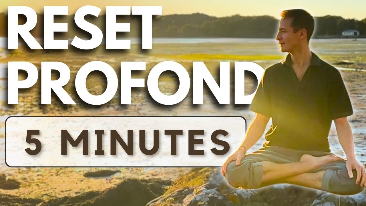 Harmonise ton Système Nerveux | 5 minutes de Respiration Carrée