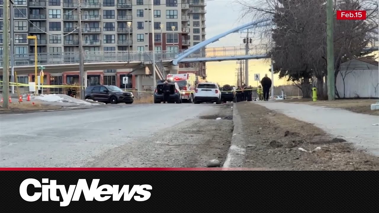 Two-year-old dies after stroller struck by vehicle in SW Calgary crosswalk