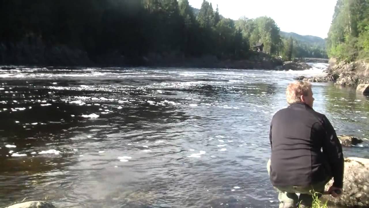 Laksefiske   Numedalslågen,Trond Stavrum kjører fluelaks 6,0kg