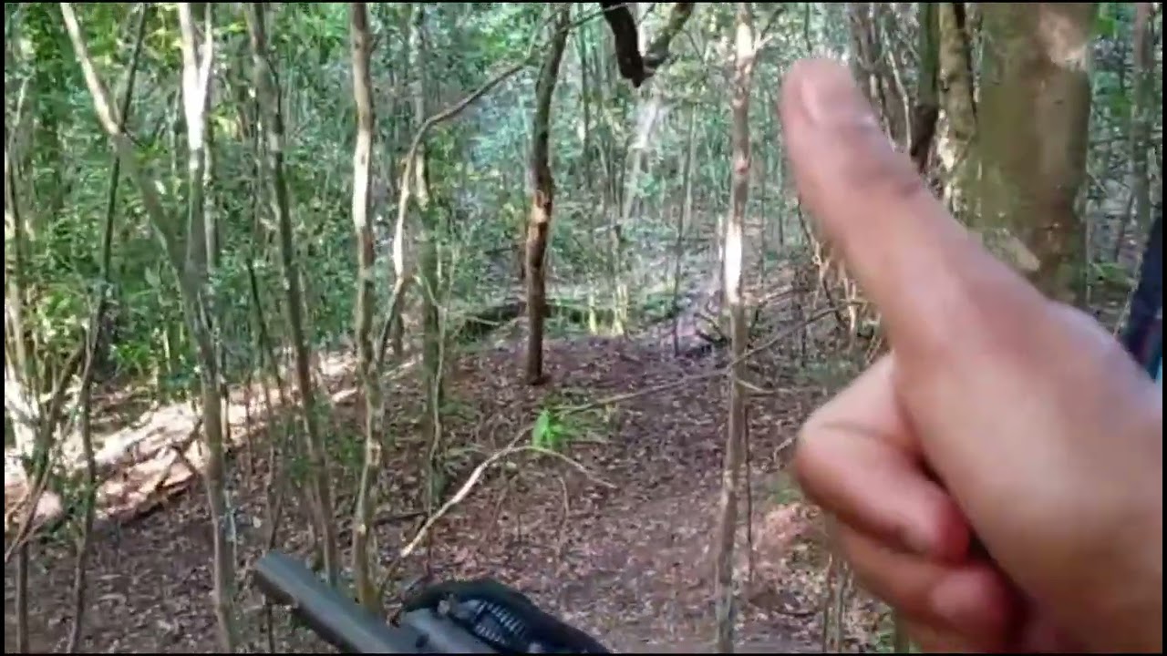 Fui esperar no saleiro, olha oq aconteceu muito adrenalina o saleiro tá top galera deu muito porco 🐗