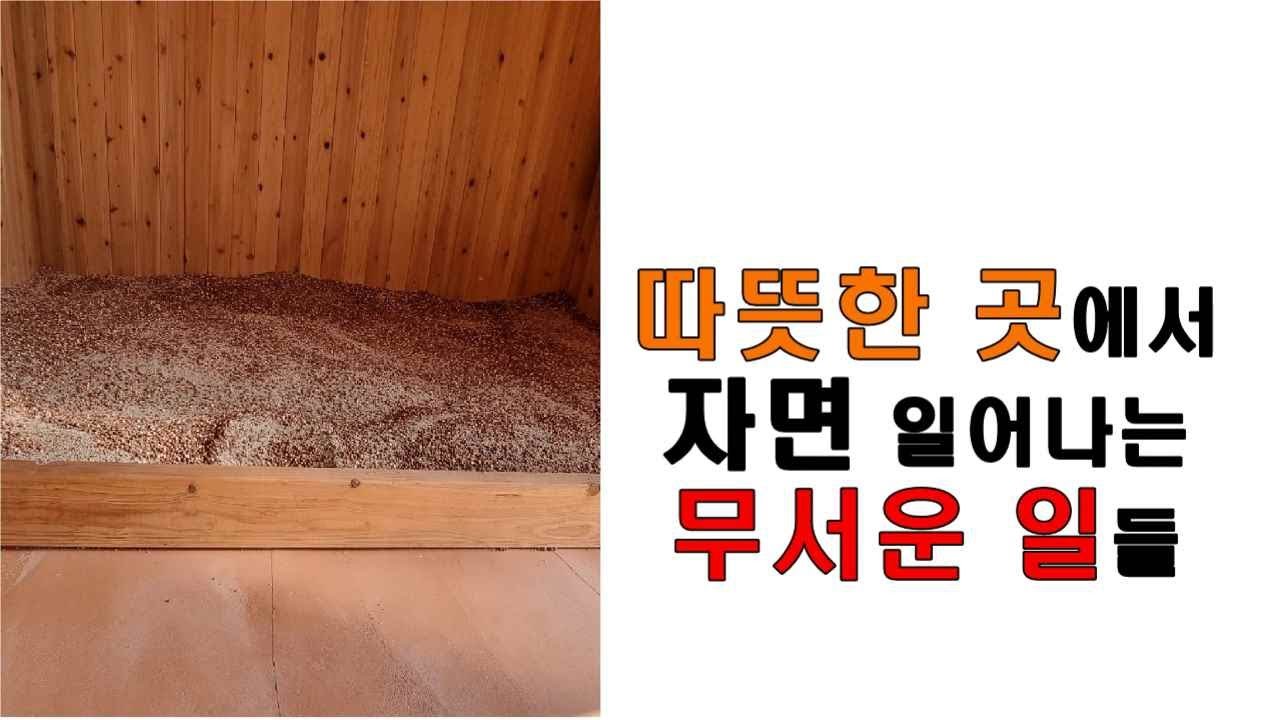 따뜻한 곳에서 자면 일어나는 무서운 일들