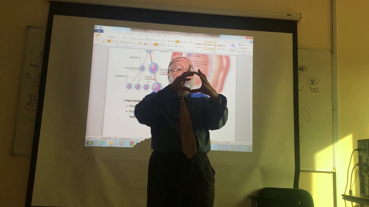 General embryology 4 ( Oogenesis  ) , by dr. wahdan