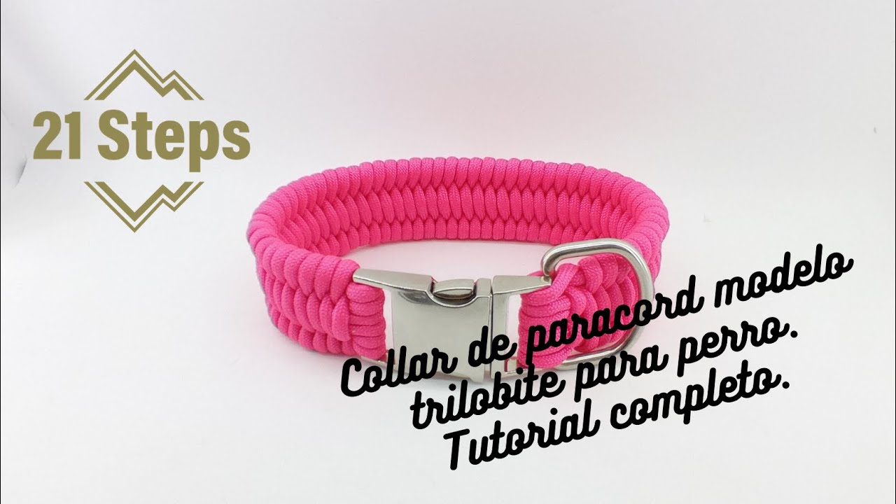 Collar paracord trilobite tutorial
