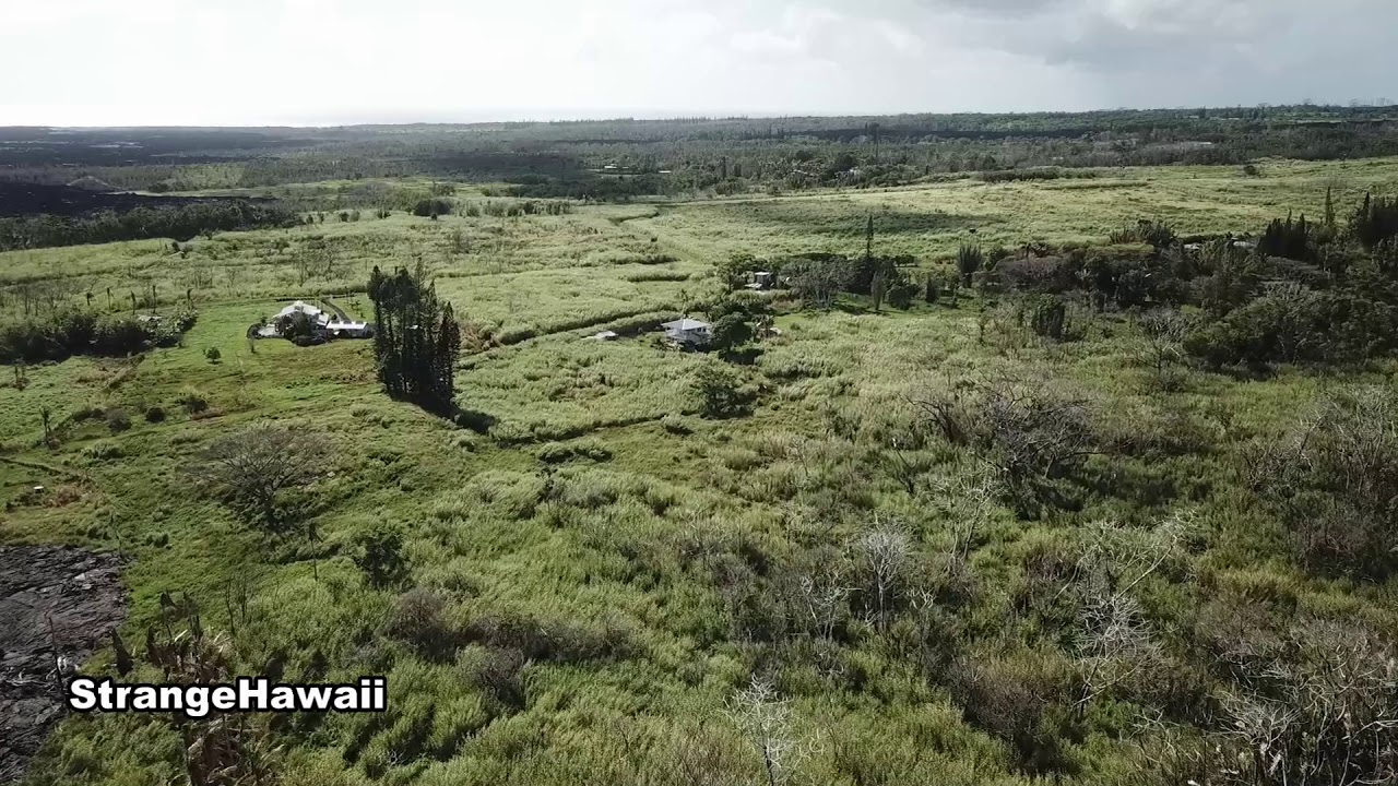 Green Mountain ~ Post Lava Update with Smiley ~ Kapoho, Hawaii