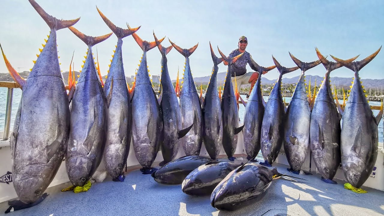 INCREIBLE PESCA DE ATUNES en el pacífico mexicano con Marla's Sportifhing