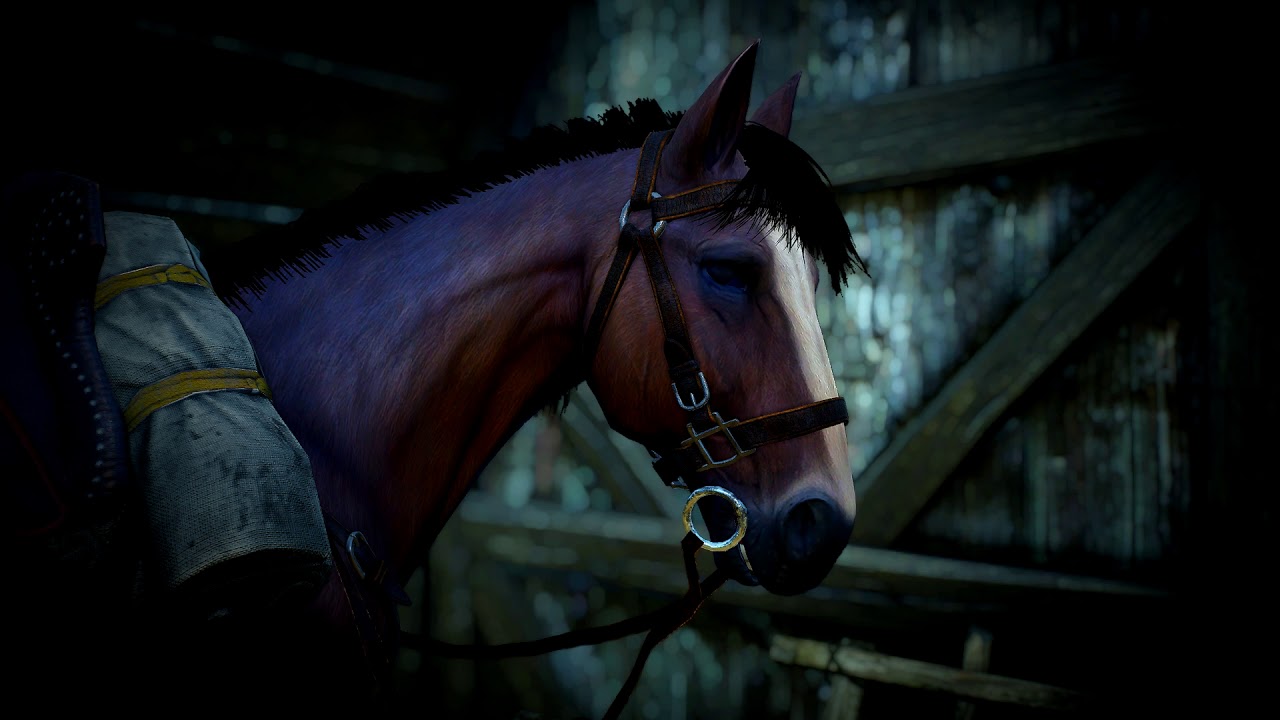 Horse Stable Ambience