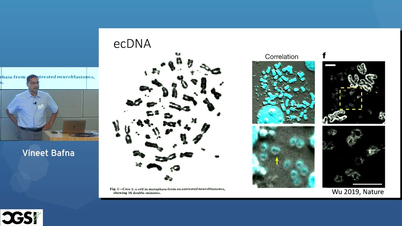 Vineet Bafna | ecDNA and Breakage Fusion Bridge: two facets of oncogene amplification... | CGSI 2024