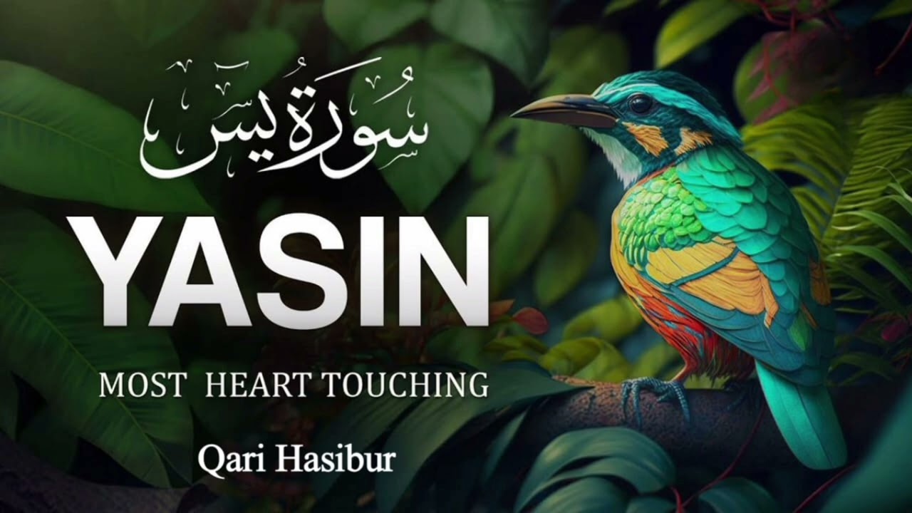 সুরা ইয়াসিন। প্রতিদিন সকালে মোনোযোগ দিয়ে শুনুন।