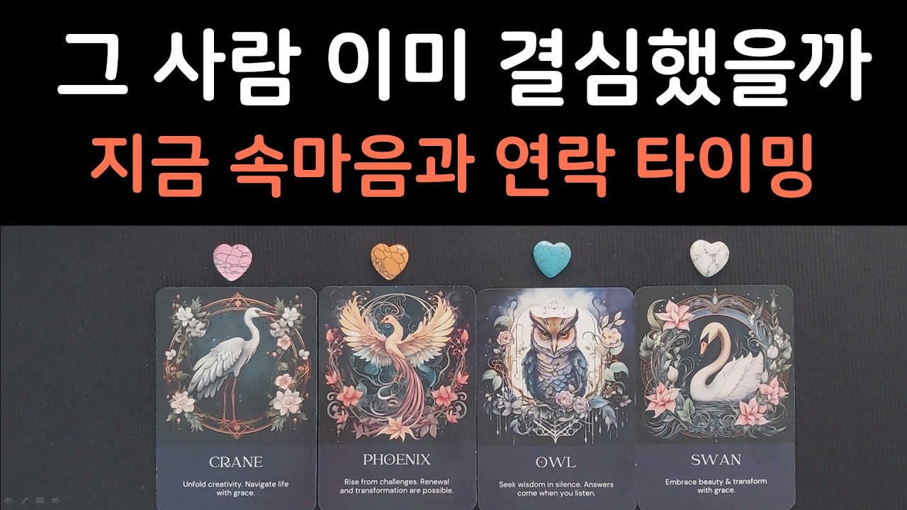 [타로] 생각치 못한 결과💥 지금 그 사람은 어떤 결정을 내렸을까 💝 연락시기까지 미친듯 맞춤🪭