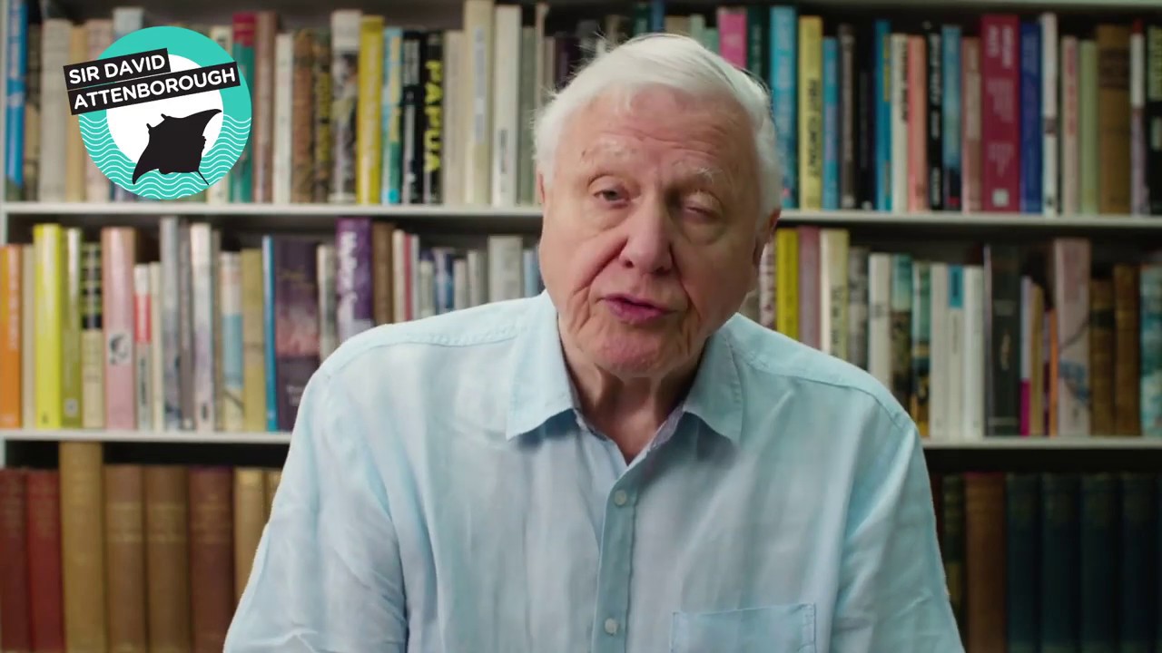 Sir David Attenborough's World Oceans Day Message