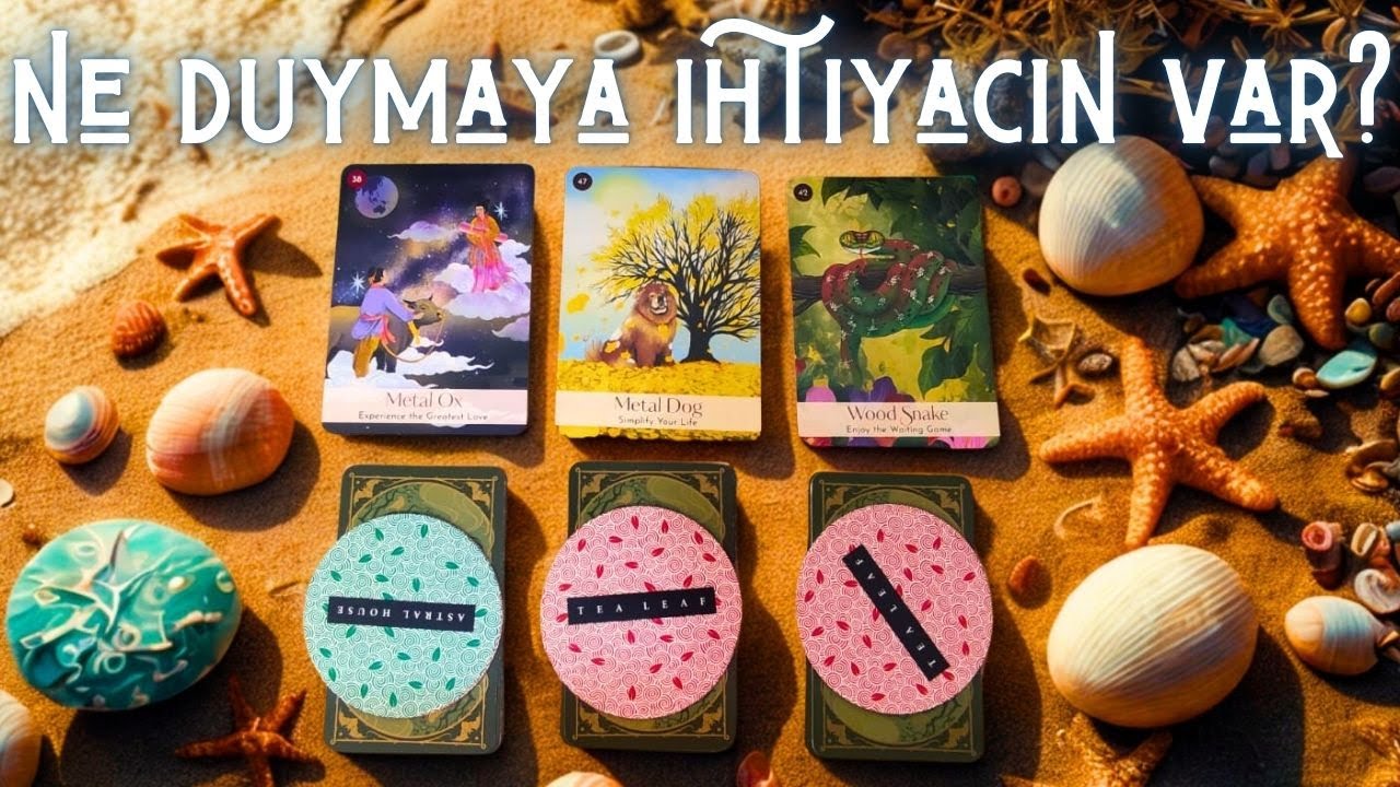 🗝️🌀 Bir İşaret Arayanlar 🗝️🌀 Şu Anda Neyi Duymalısınız? 🌊🧜🏻‍♀️Deste Seç 🌬️ Zamansız Tarot Açılımı 🏞️