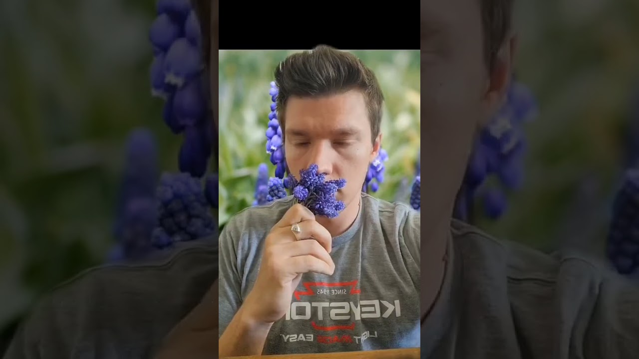 Виноградный гиацинт? Цветочный лимонад? #усадьба