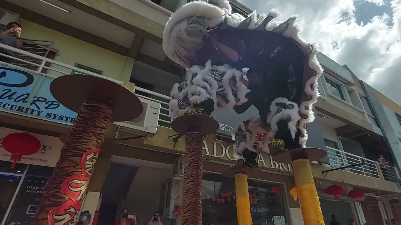 Sabah Lion Dance Nan Shan 2022 CNY Day 15 performance