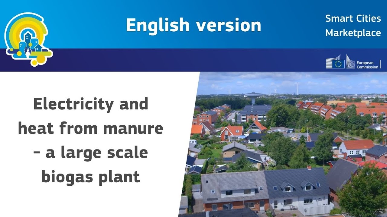 Electricity and heat from manure - a large scale biogas plant. Example Maabjerg, Denmark