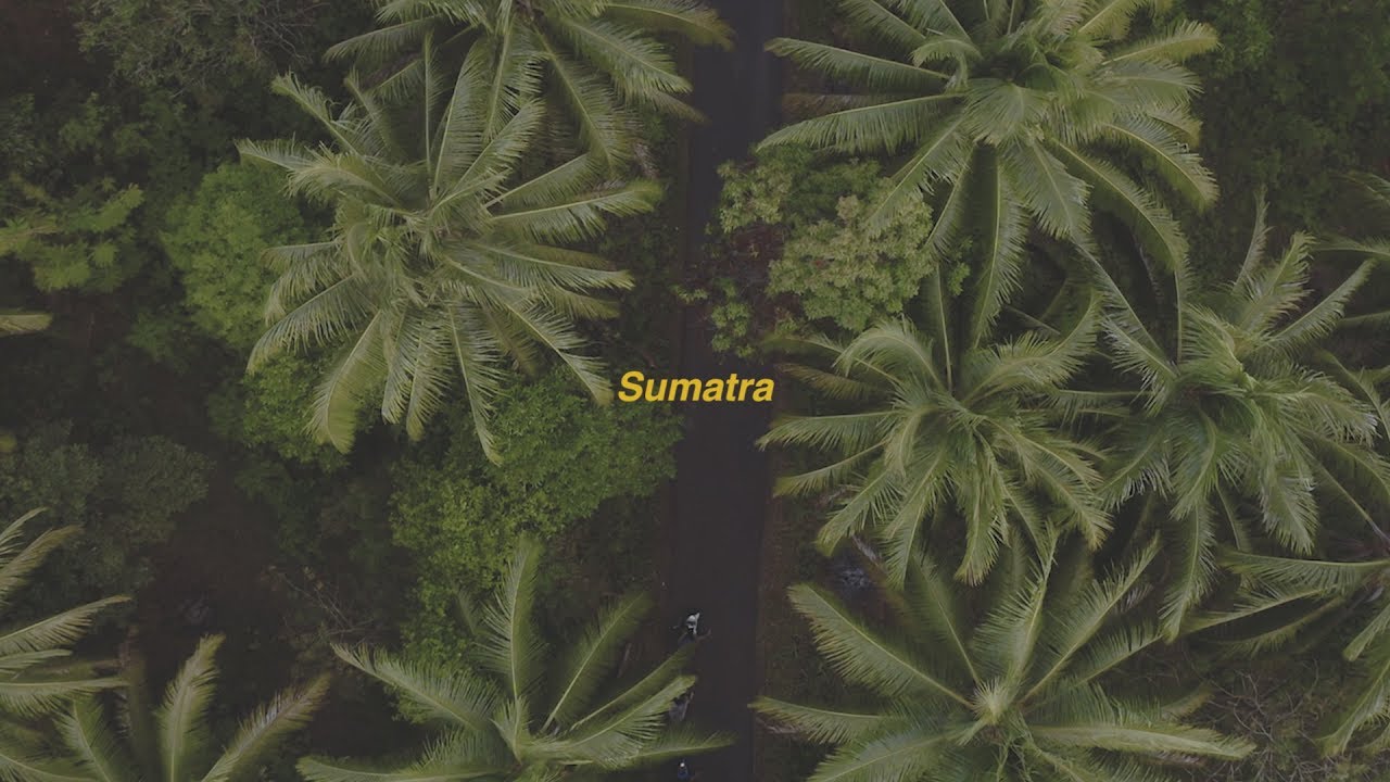 South Sumatra Trip 2019