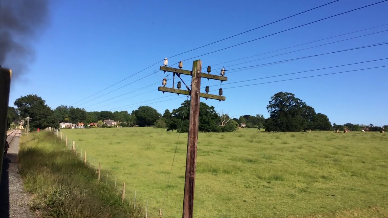 Brunswick Green - Down the Line