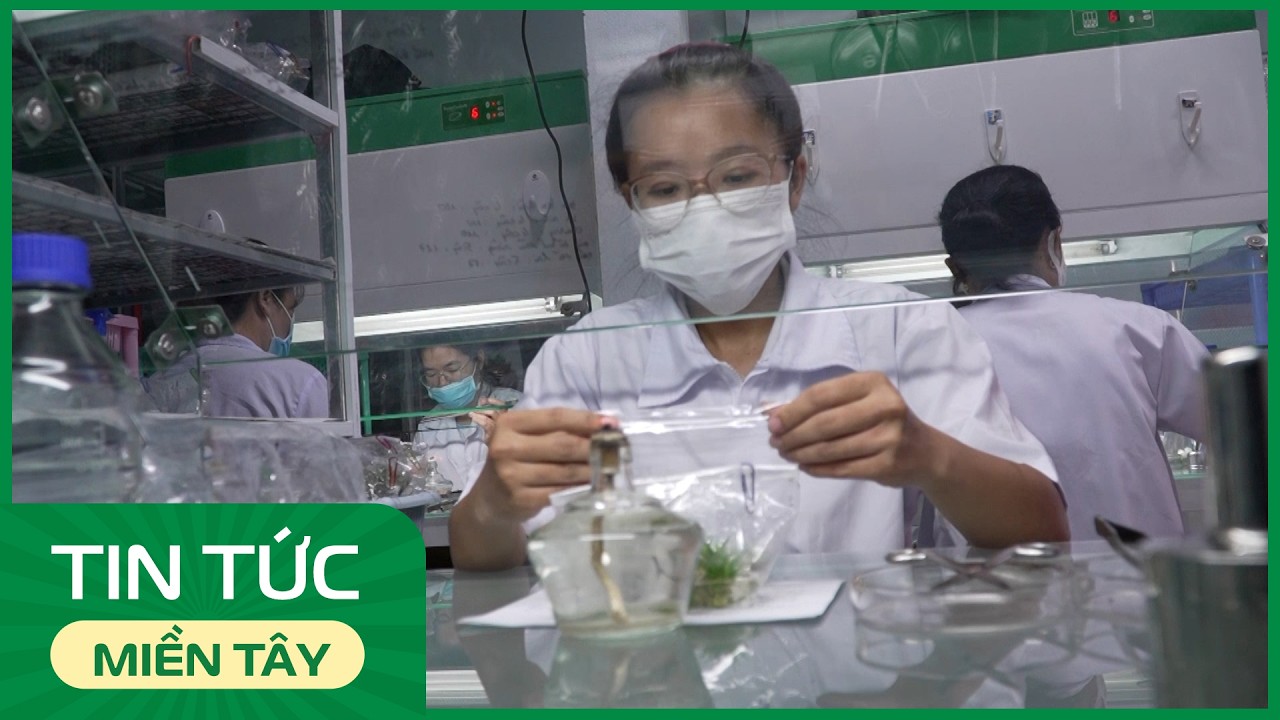 Nâng tỷ trọng kinh tế số trong GDP | THDT
