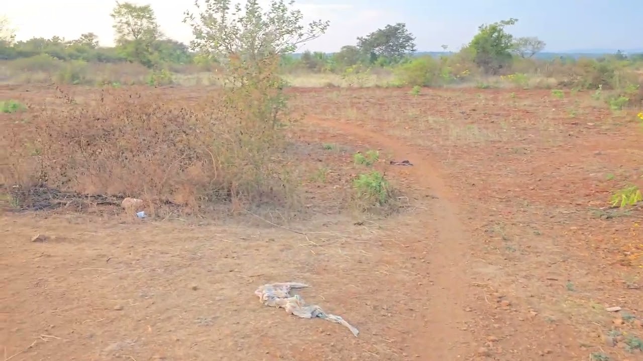 23.5 ಗುಂಟೆ ಮೈಸೂರಿನ ರಿಂಗ್ ರೋಡಿಗೆ ಕೇವಲ 11 ಕಿ.ಮೀ (1ಗುಂಟೆಗೆ 2.5 ಲಕ್ಷ) ಮೊಬೈಲ್:9632372860