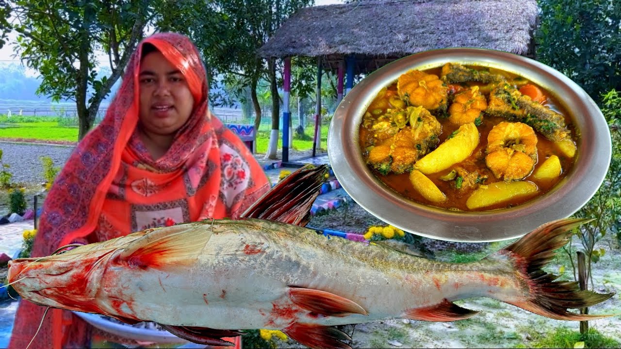 নদীর আইর মাছ বাড়ি থেকে আলু টমেটো তুলে রান্না করলাম | River Fish Curry | Village Cooking