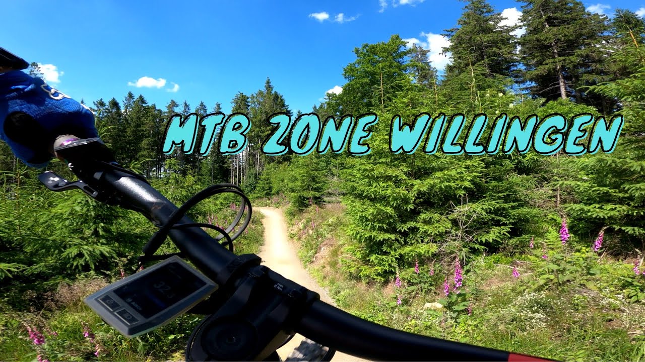 MTB Zone Willingen - Alle Strecken -STURZ auf dem Enduro Trail