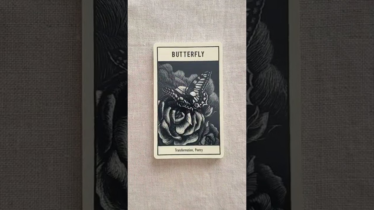 Untamed Spirit: Animal Oracle Flip Through